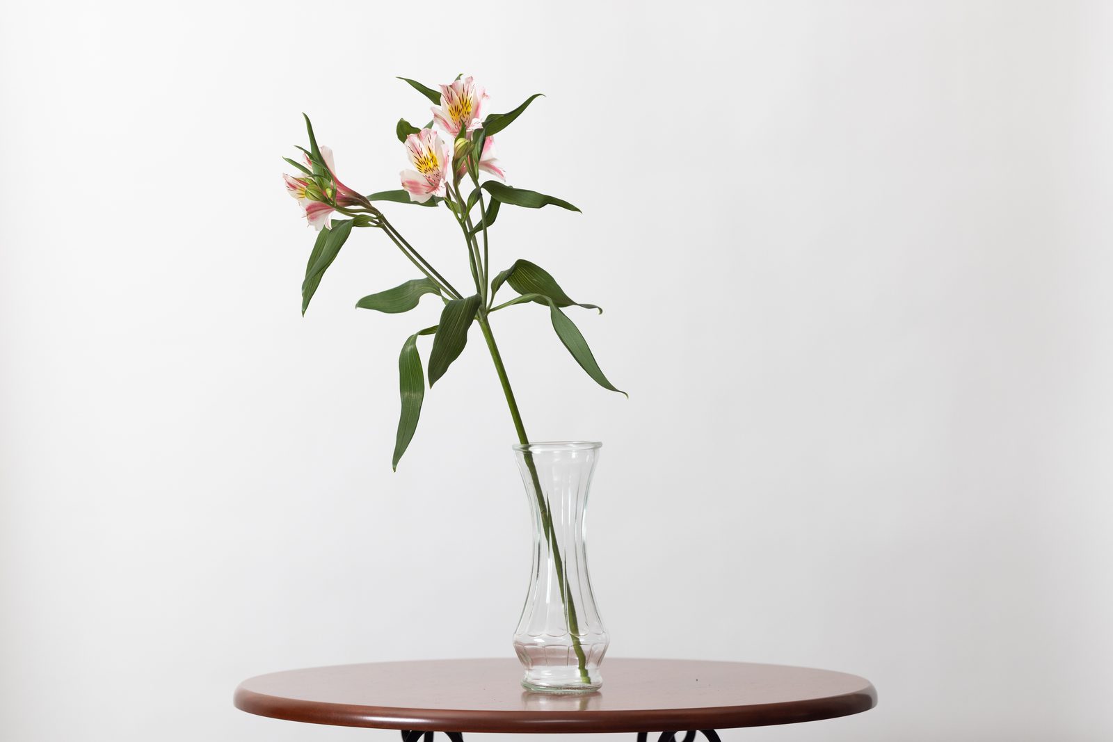 一輪の花々